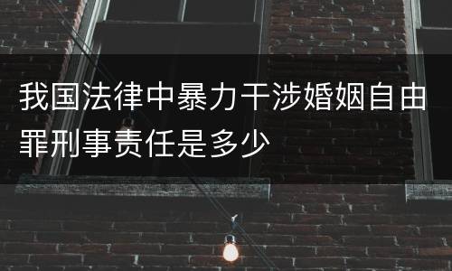 我国法律中暴力干涉婚姻自由罪刑事责任是多少