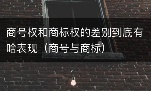 商号权和商标权的差别到底有啥表现（商号与商标）