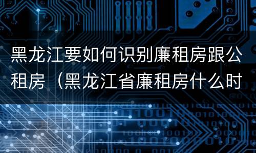 黑龙江要如何识别廉租房跟公租房（黑龙江省廉租房什么时候卖给个人）