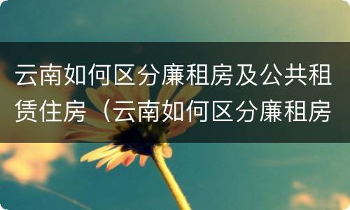 云南如何区分廉租房及公共租赁住房（云南如何区分廉租房及公共租赁住房呢）