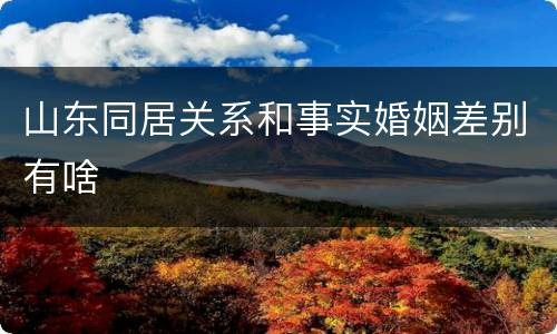 山东同居关系和事实婚姻差别有啥