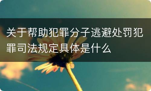 关于帮助犯罪分子逃避处罚犯罪司法规定具体是什么