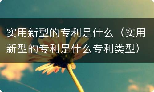 实用新型的专利是什么（实用新型的专利是什么专利类型）