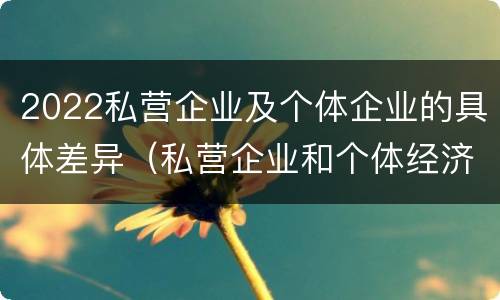 2022私营企业及个体企业的具体差异（私营企业和个体经济的区别）