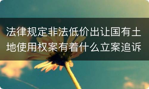 法律规定非法低价出让国有土地使用权案有着什么立案追诉标准