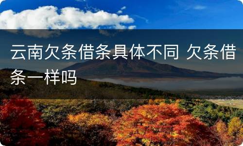 云南欠条借条具体不同 欠条借条一样吗