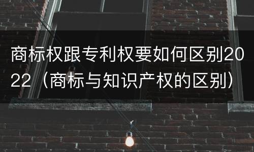 商标权跟专利权要如何区别2022（商标与知识产权的区别）