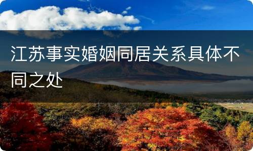 江苏事实婚姻同居关系具体不同之处