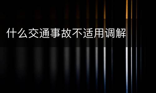 什么交通事故不适用调解