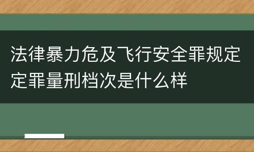 法律暴力危及飞行安全罪规定定罪量刑档次是什么样