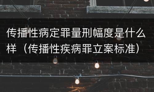 传播性病定罪量刑幅度是什么样（传播性疾病罪立案标准）
