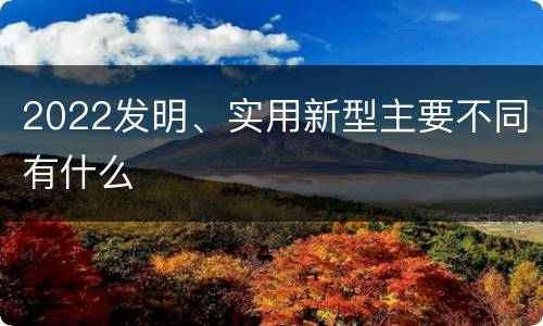 2022发明、实用新型主要不同有什么