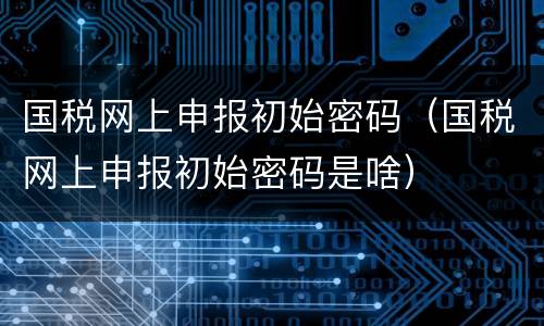 国税网上申报初始密码（国税网上申报初始密码是啥）