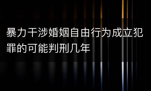 暴力干涉婚姻自由行为成立犯罪的可能判刑几年