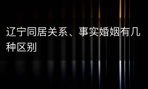 辽宁同居关系、事实婚姻有几种区别