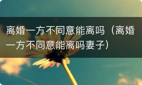 离婚一方不同意能离吗（离婚一方不同意能离吗妻子）