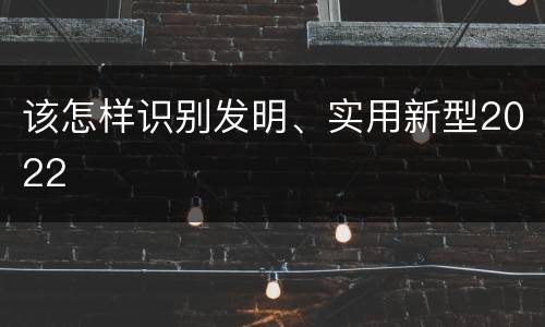 该怎样识别发明、实用新型2022