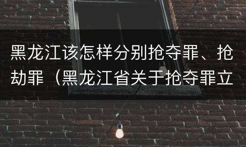 黑龙江该怎样分别抢夺罪、抢劫罪（黑龙江省关于抢夺罪立案标准）