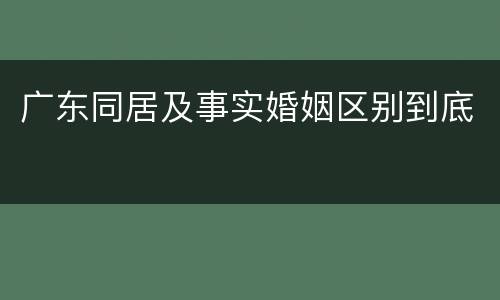 广东同居及事实婚姻区别到底