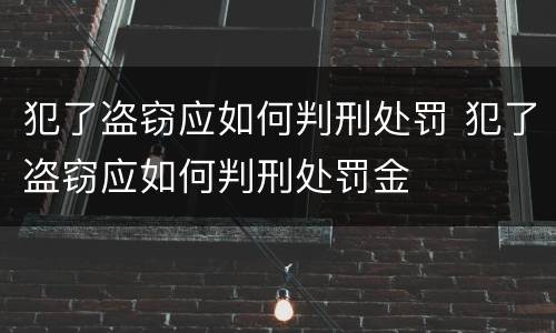 犯了盗窃应如何判刑处罚 犯了盗窃应如何判刑处罚金