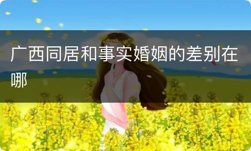 广西同居和事实婚姻的差别在哪