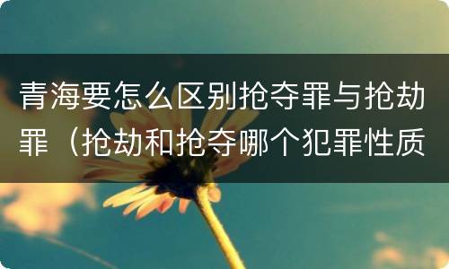 青海要怎么区别抢夺罪与抢劫罪（抢劫和抢夺哪个犯罪性质严重）
