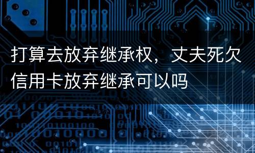 打算去放弃继承权，丈夫死欠信用卡放弃继承可以吗
