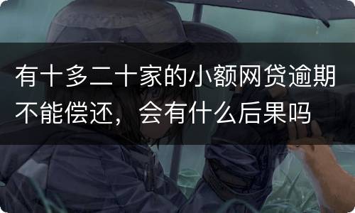 有十多二十家的小额网贷逾期不能偿还，会有什么后果吗