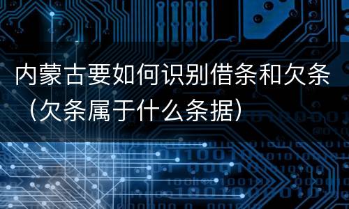 内蒙古要如何识别借条和欠条（欠条属于什么条据）