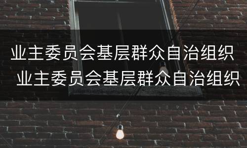 业主委员会基层群众自治组织 业主委员会基层群众自治组织工作