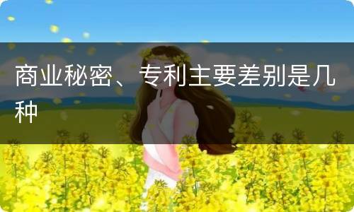 商业秘密、专利主要差别是几种