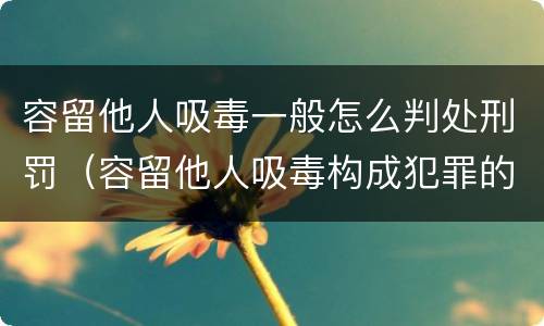 容留他人吸毒一般怎么判处刑罚（容留他人吸毒构成犯罪的怎么处罚）