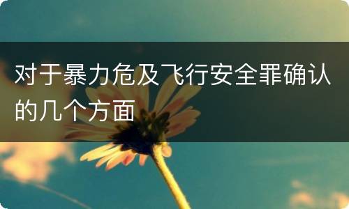 对于暴力危及飞行安全罪确认的几个方面