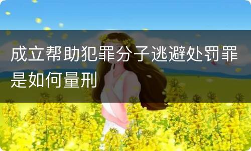 成立帮助犯罪分子逃避处罚罪是如何量刑