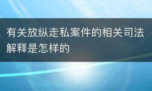 有关放纵走私案件的相关司法解释是怎样的