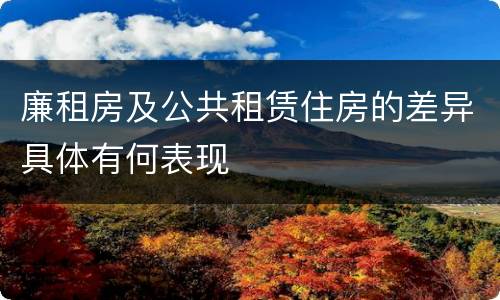 廉租房及公共租赁住房的差异具体有何表现