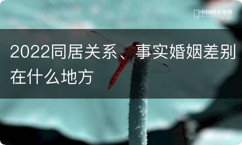 2022同居关系、事实婚姻差别在什么地方