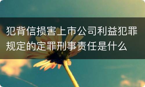 犯背信损害上市公司利益犯罪规定的定罪刑事责任是什么