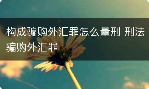构成骗购外汇罪怎么量刑 刑法骗购外汇罪