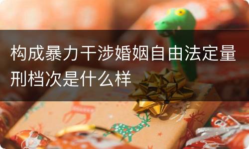 构成暴力干涉婚姻自由法定量刑档次是什么样