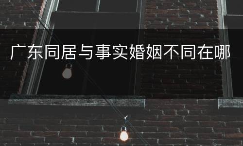广东同居与事实婚姻不同在哪