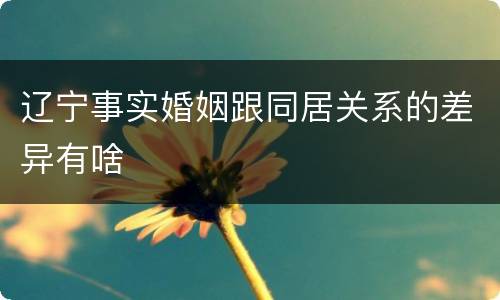 辽宁事实婚姻跟同居关系的差异有啥
