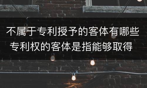 不属于专利授予的客体有哪些 专利权的客体是指能够取得