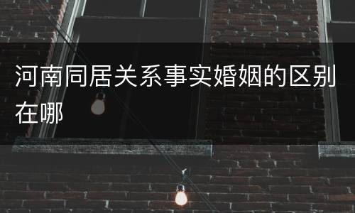 河南同居关系事实婚姻的区别在哪