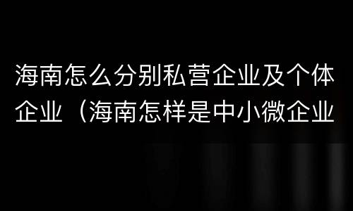 海南怎么分别私营企业及个体企业（海南怎样是中小微企业怎么划分）