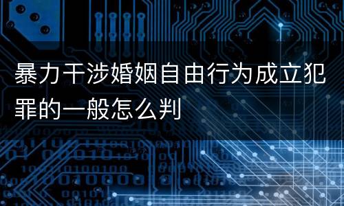暴力干涉婚姻自由行为成立犯罪的一般怎么判