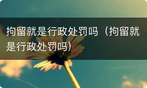 拘留就是行政处罚吗（拘留就是行政处罚吗）