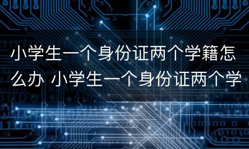 小学生一个身份证两个学籍怎么办 小学生一个身份证两个学籍怎么办