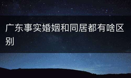 广东事实婚姻和同居都有啥区别