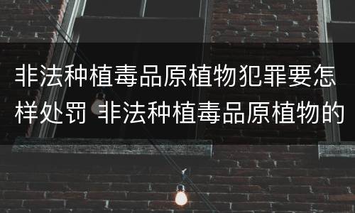 非法种植毒品原植物犯罪要怎样处罚 非法种植毒品原植物的处罚